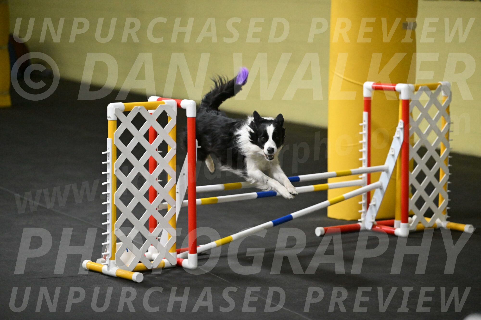 Annie-Solinger-02766