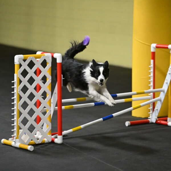 Annie-Solinger-02766