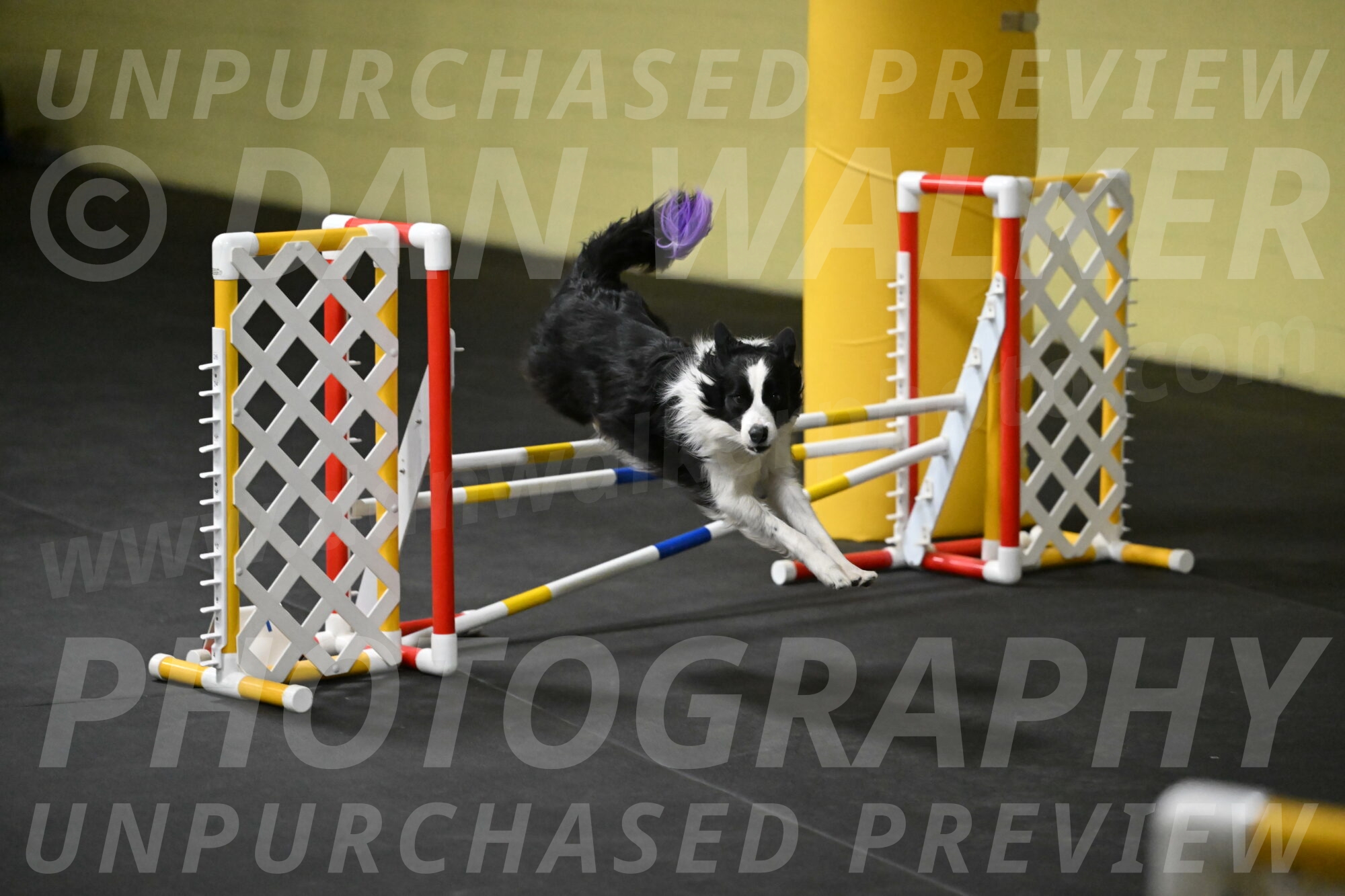 Annie-Solinger-02767