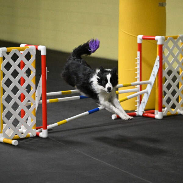 Annie-Solinger-02767