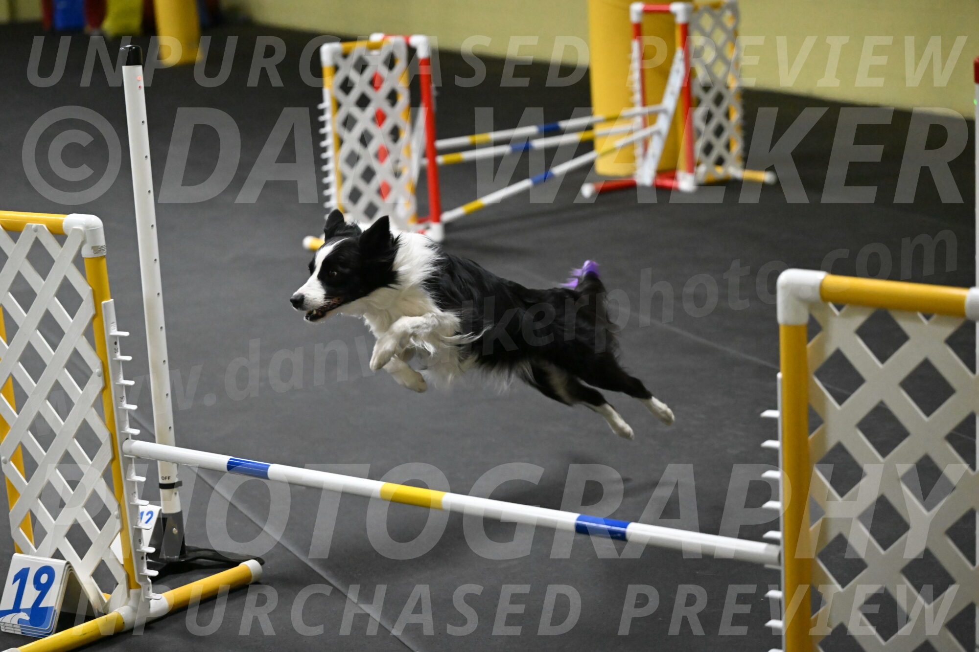 Annie-Solinger-02770