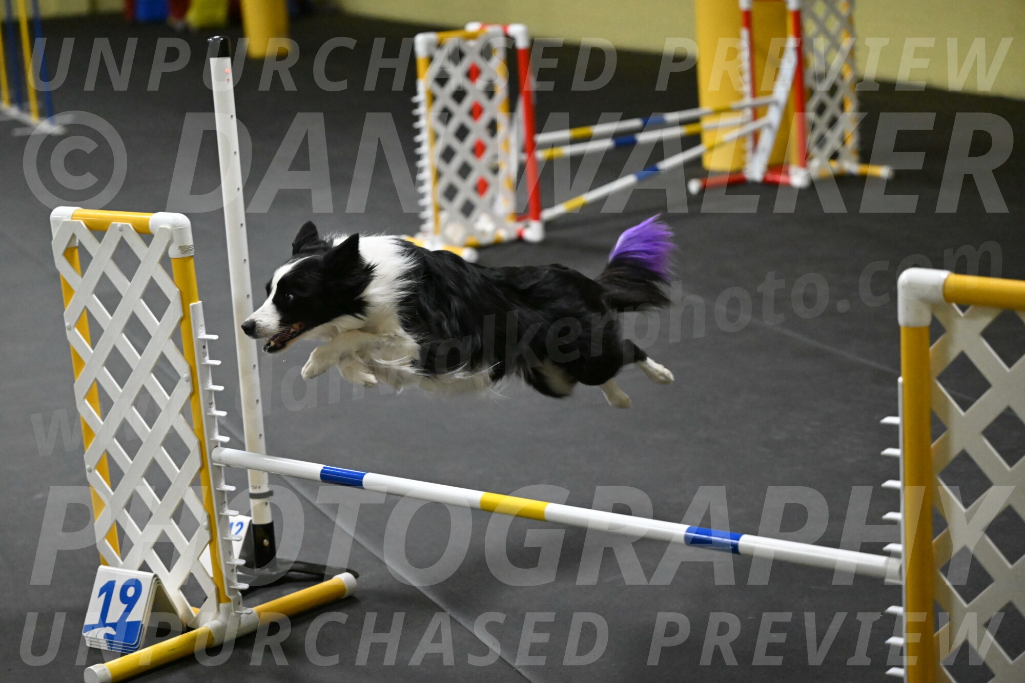 Annie-Solinger-02771