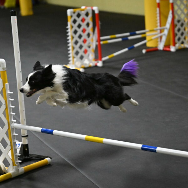 Annie-Solinger-02771