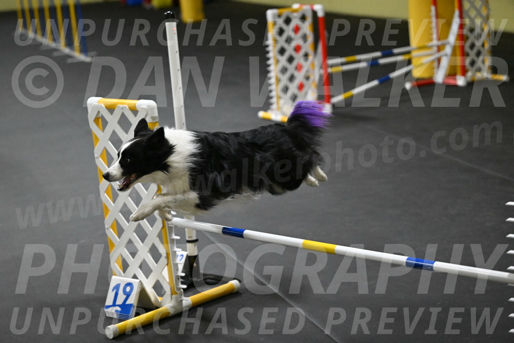 Annie-Solinger-02772