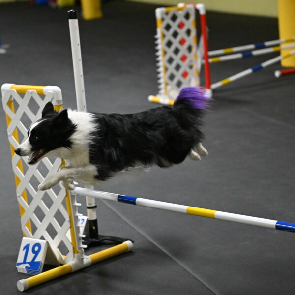 Annie-Solinger-02772