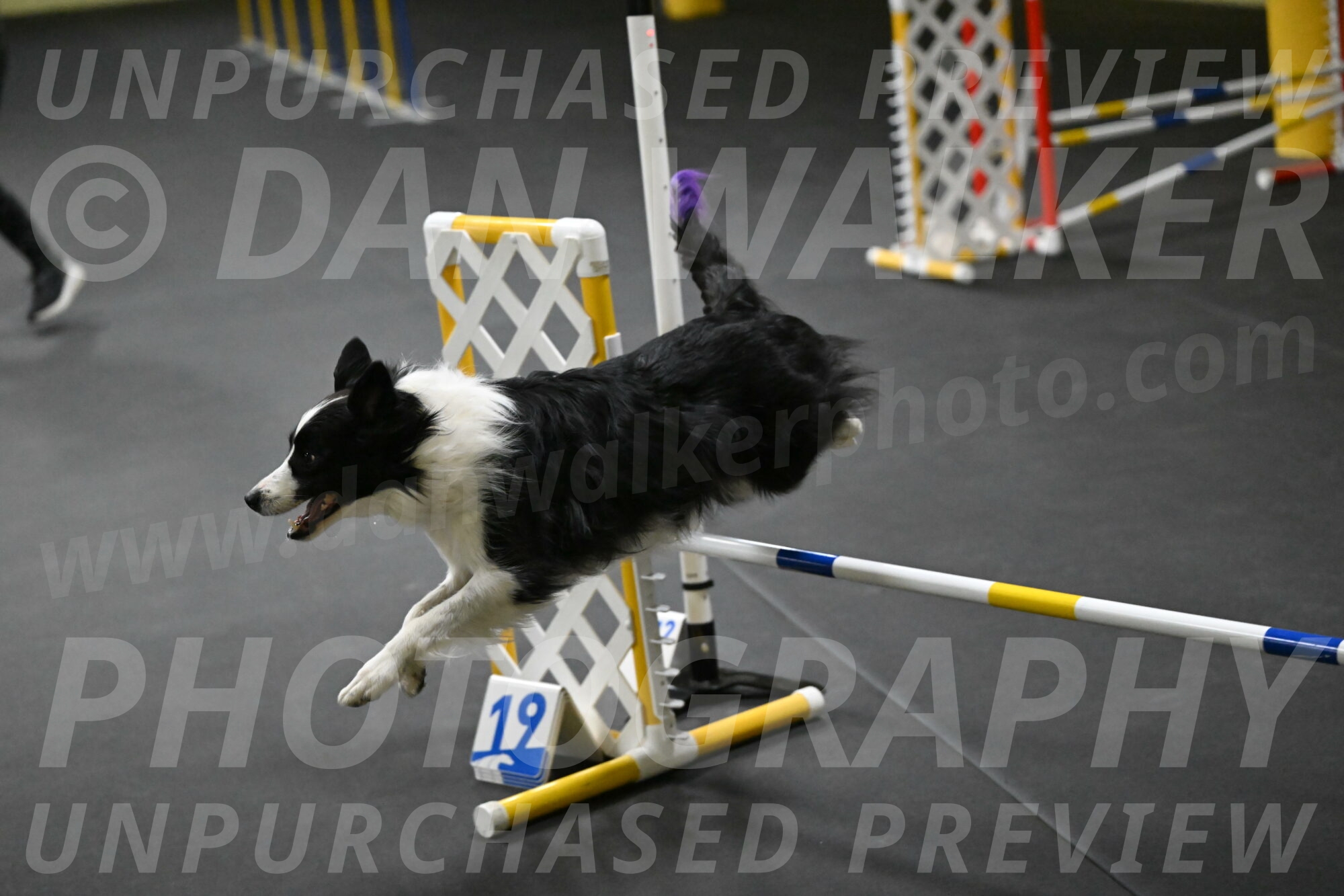 Annie-Solinger-02773