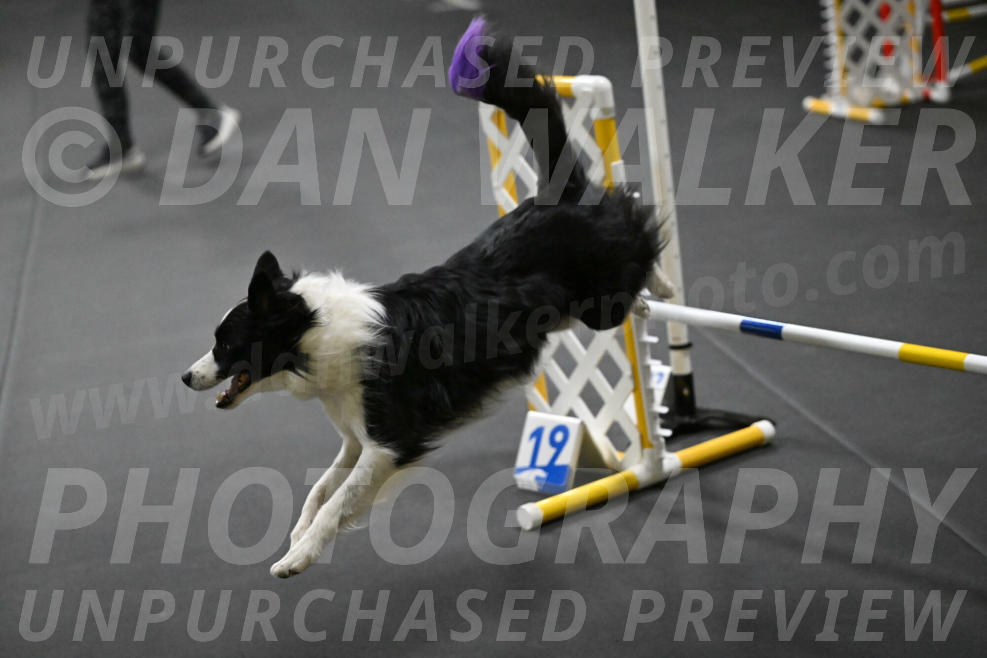 Annie-Solinger-02774