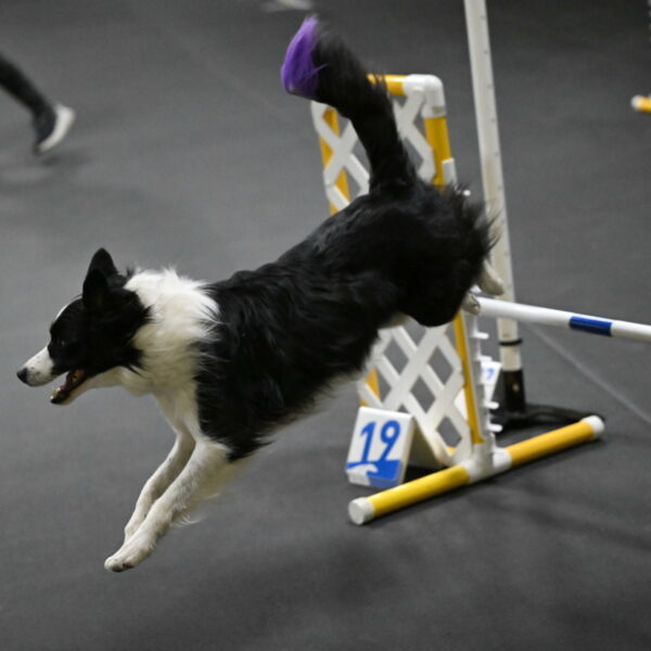 Annie-Solinger-02774