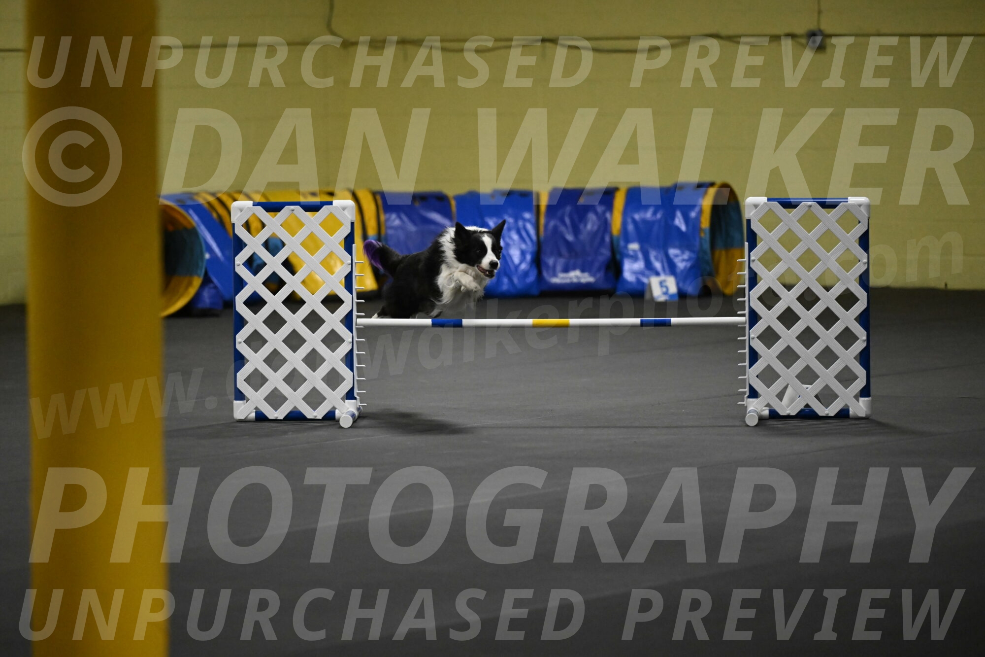 Annie-Solinger-02775