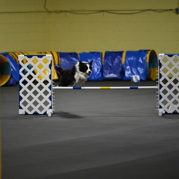 Annie-Solinger-02775