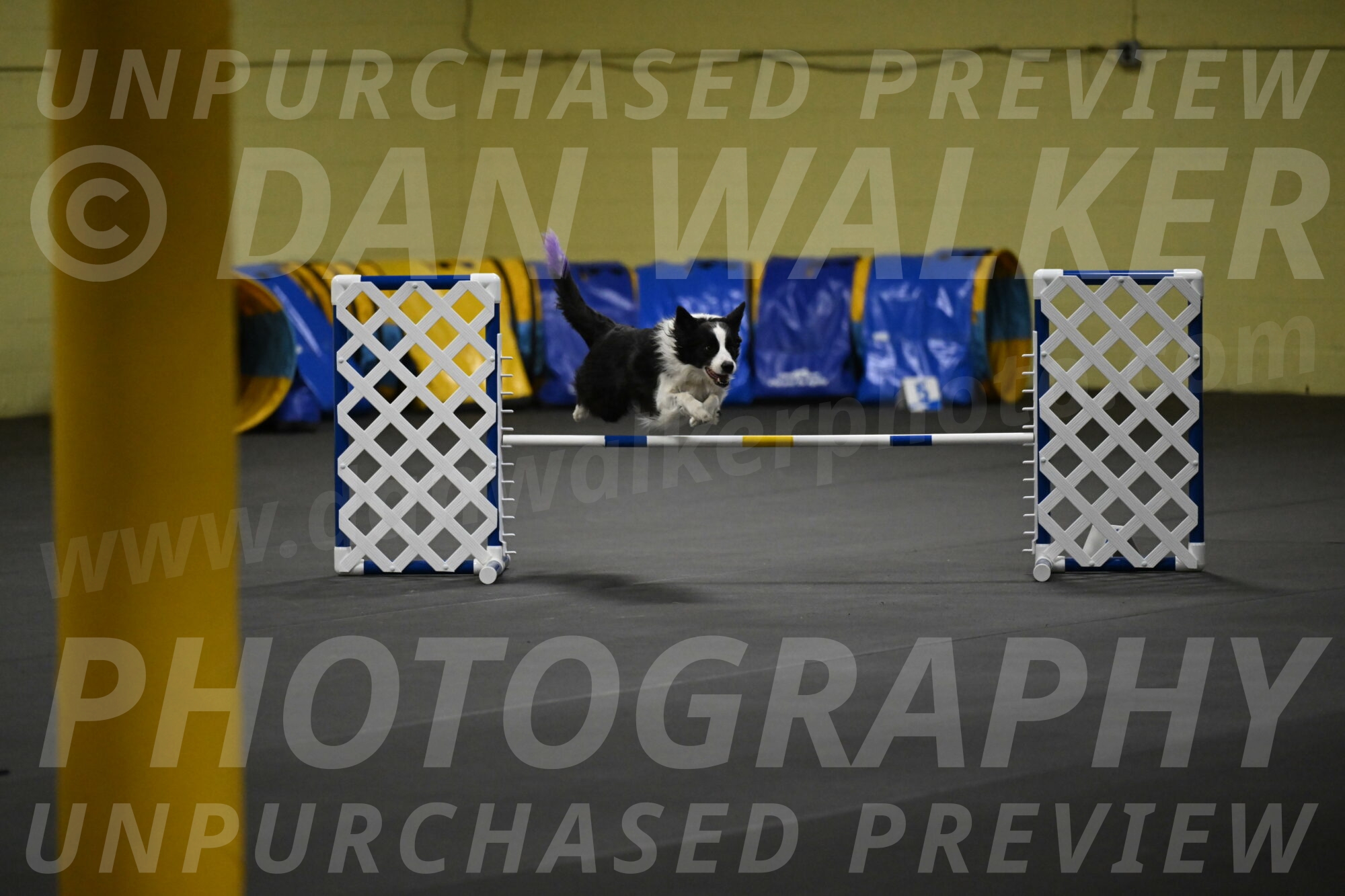 Annie-Solinger-02776