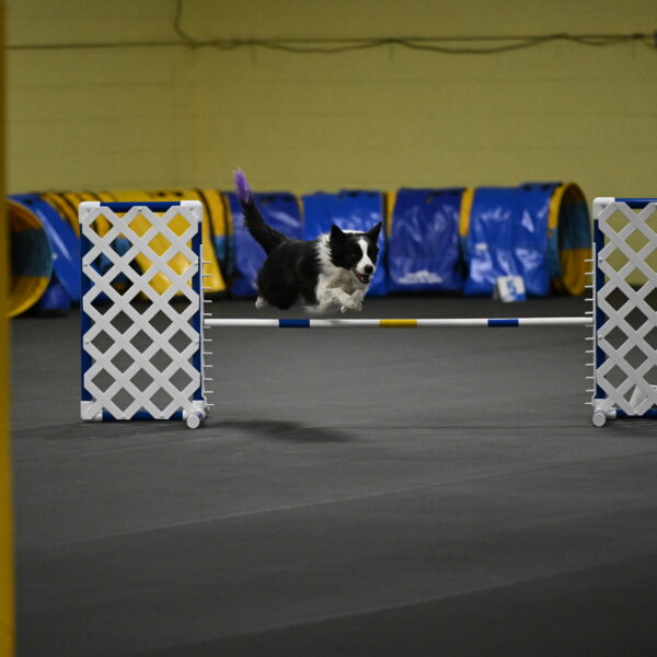 Annie-Solinger-02776