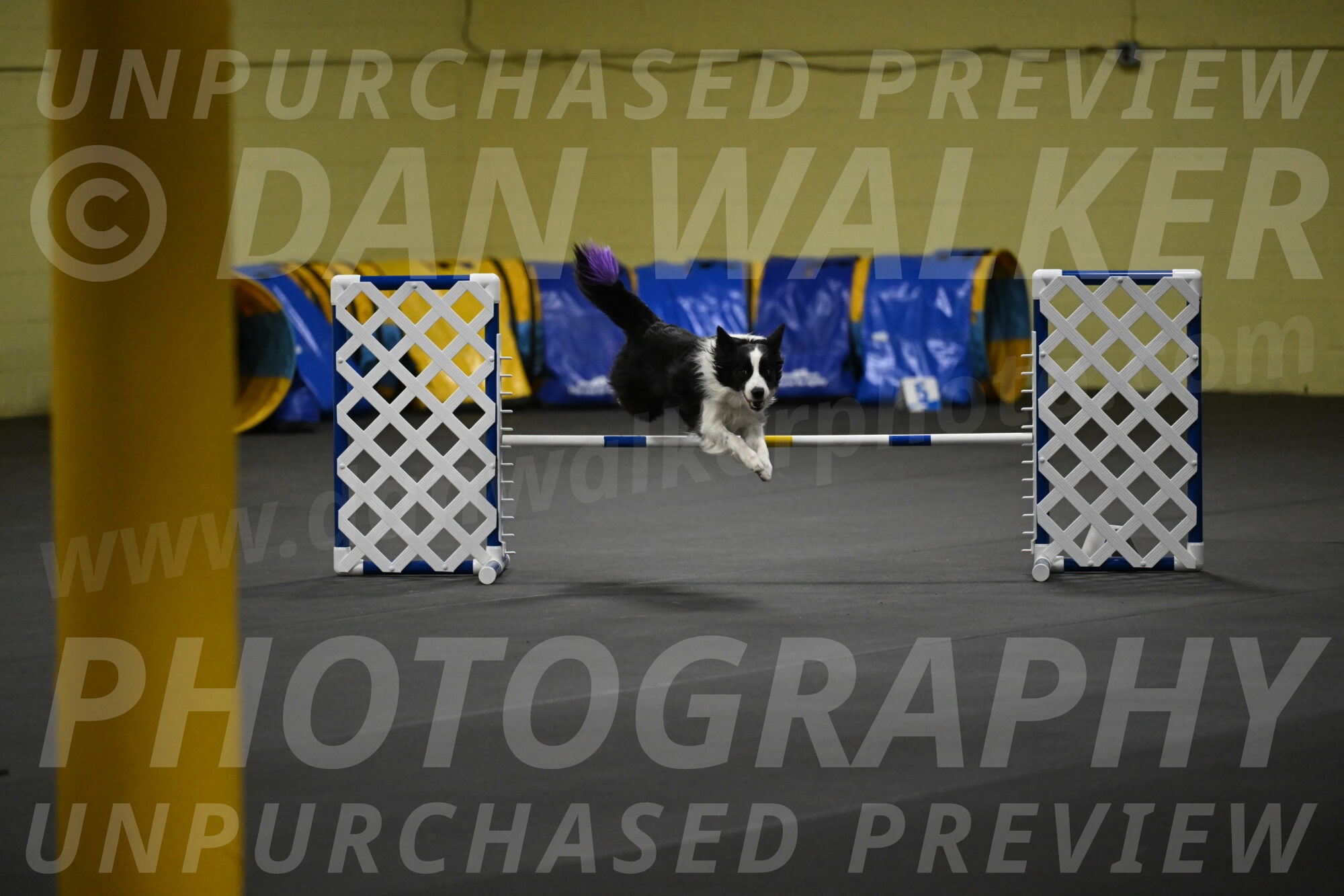 Annie-Solinger-02777