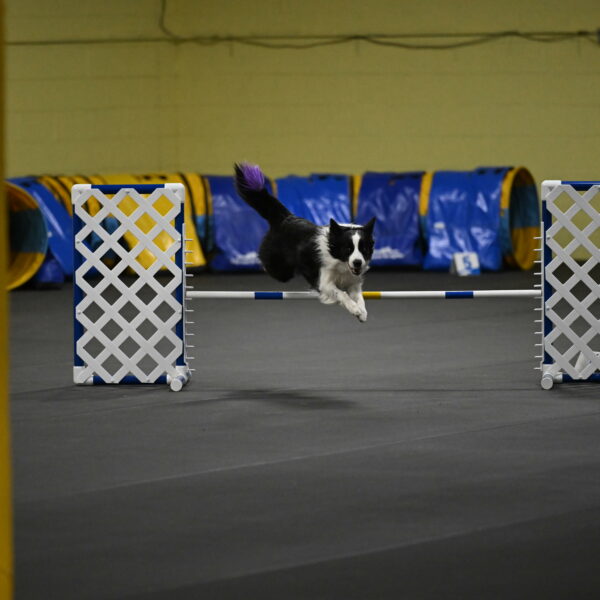 Annie-Solinger-02777