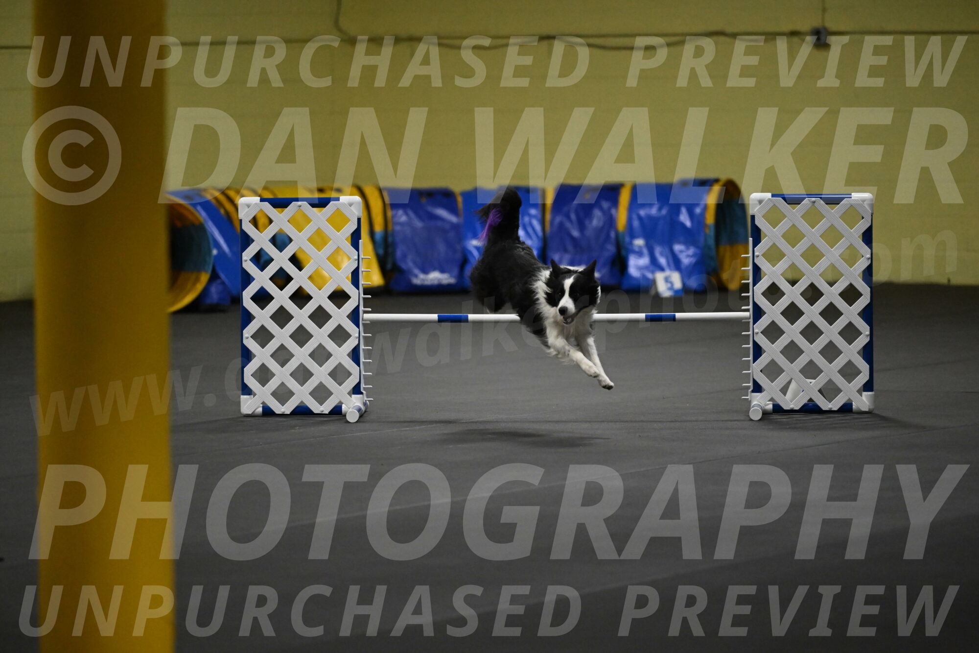 Annie-Solinger-02778