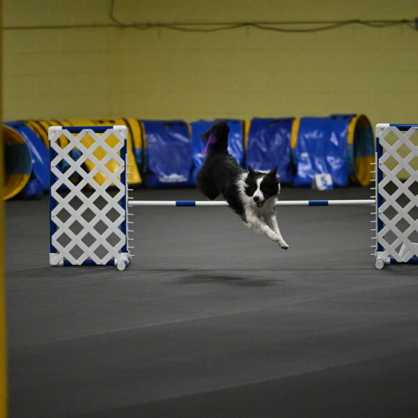 Annie-Solinger-02778