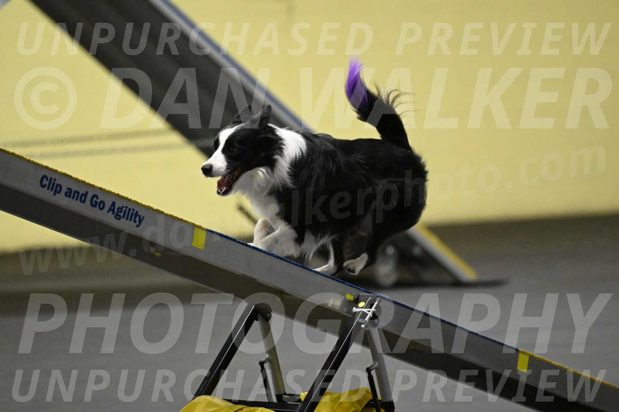 Annie-Solinger-02779