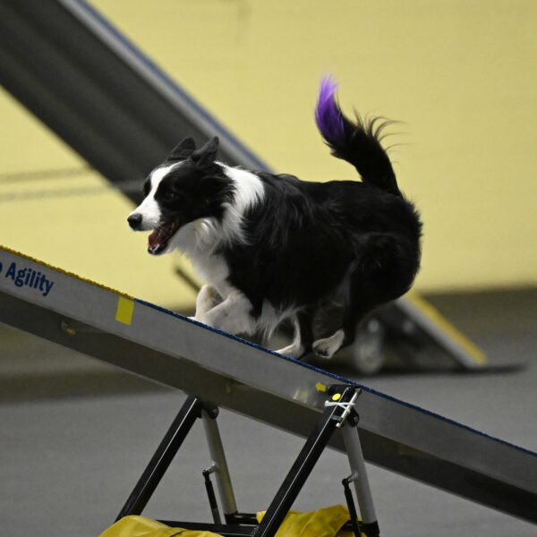 Annie-Solinger-02779