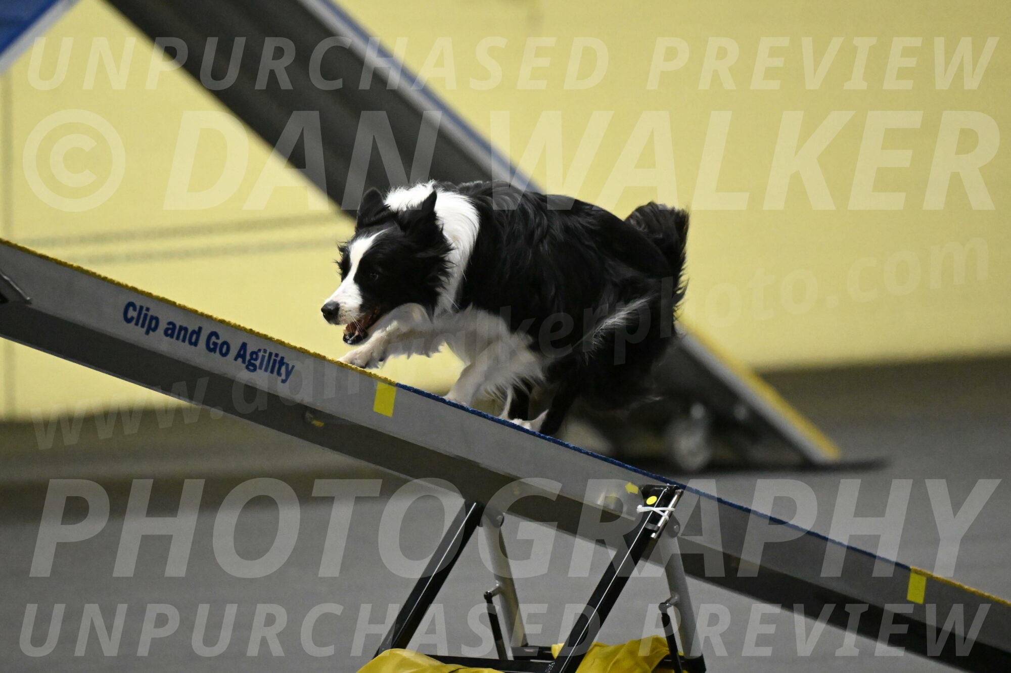 Annie-Solinger-02780