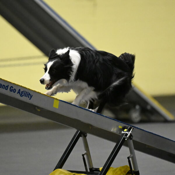 Annie-Solinger-02780