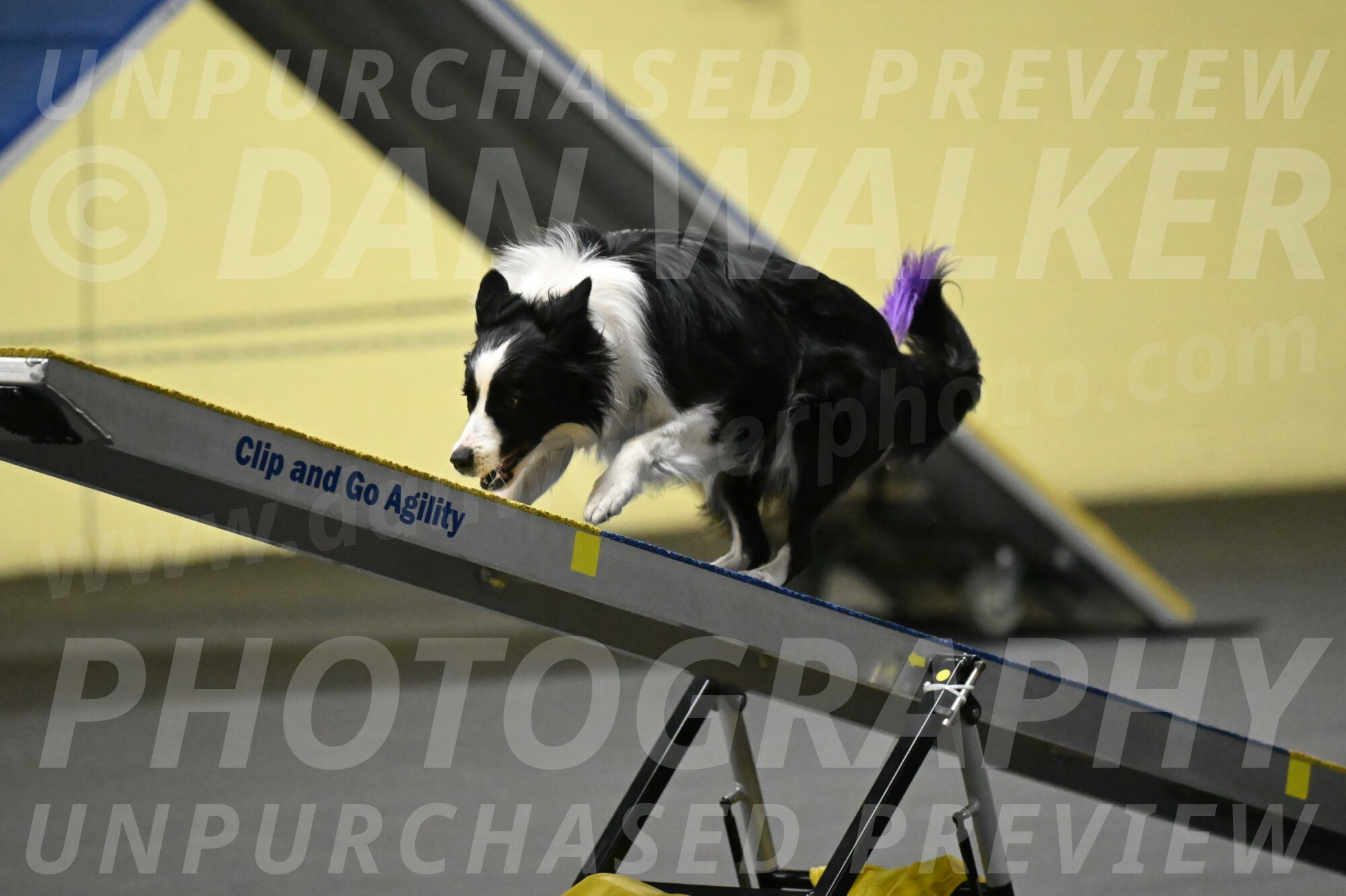 Annie-Solinger-02781