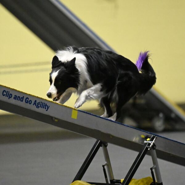 Annie-Solinger-02781