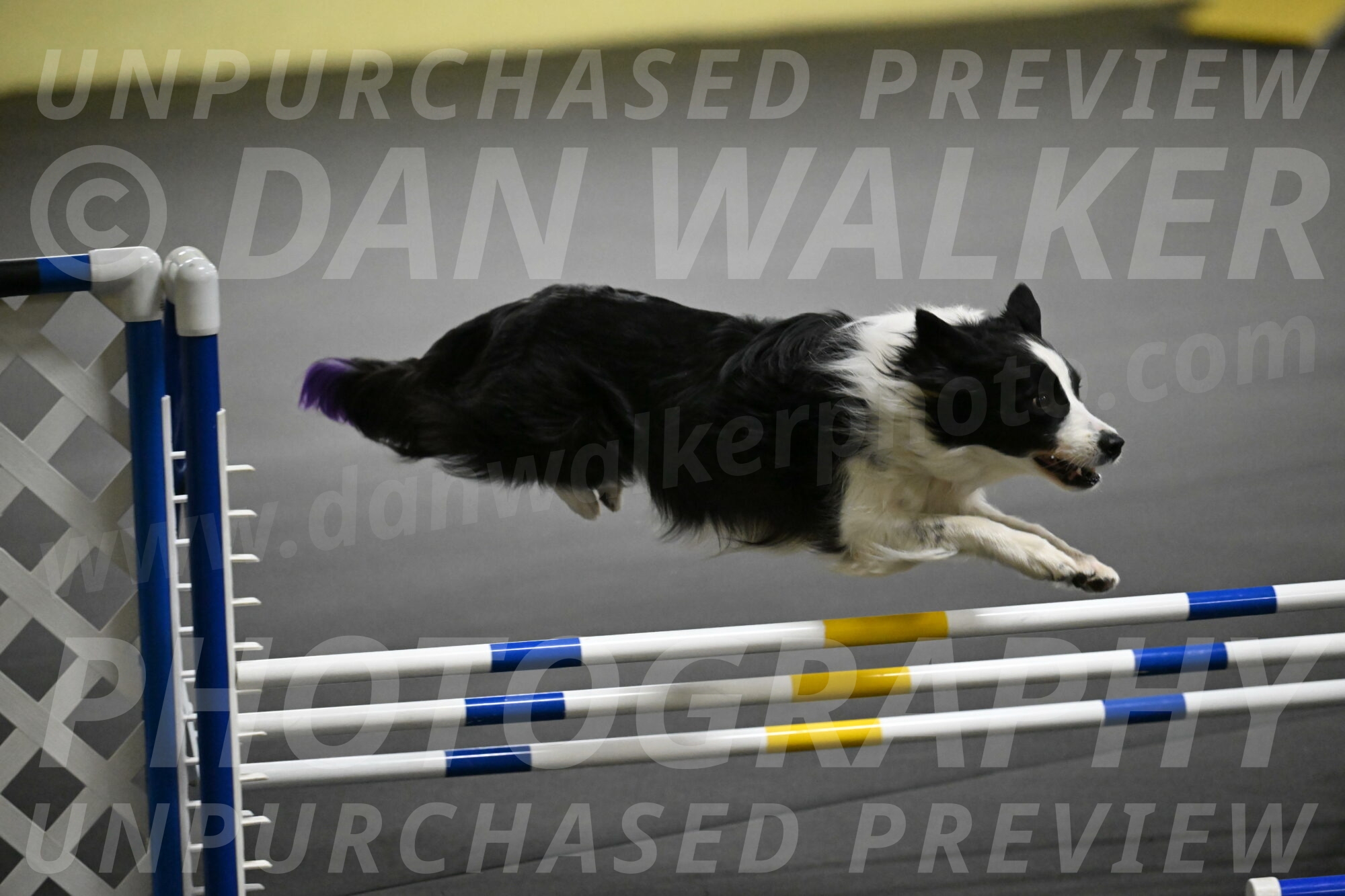 Annie-Solinger-02792