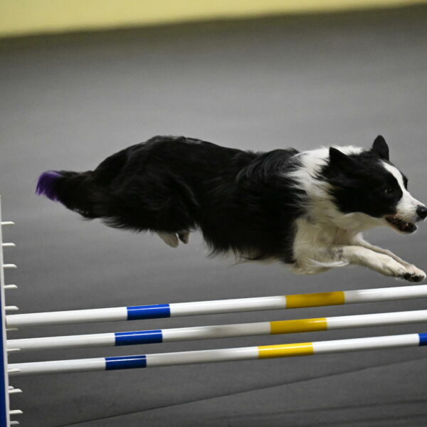 Annie-Solinger-02792