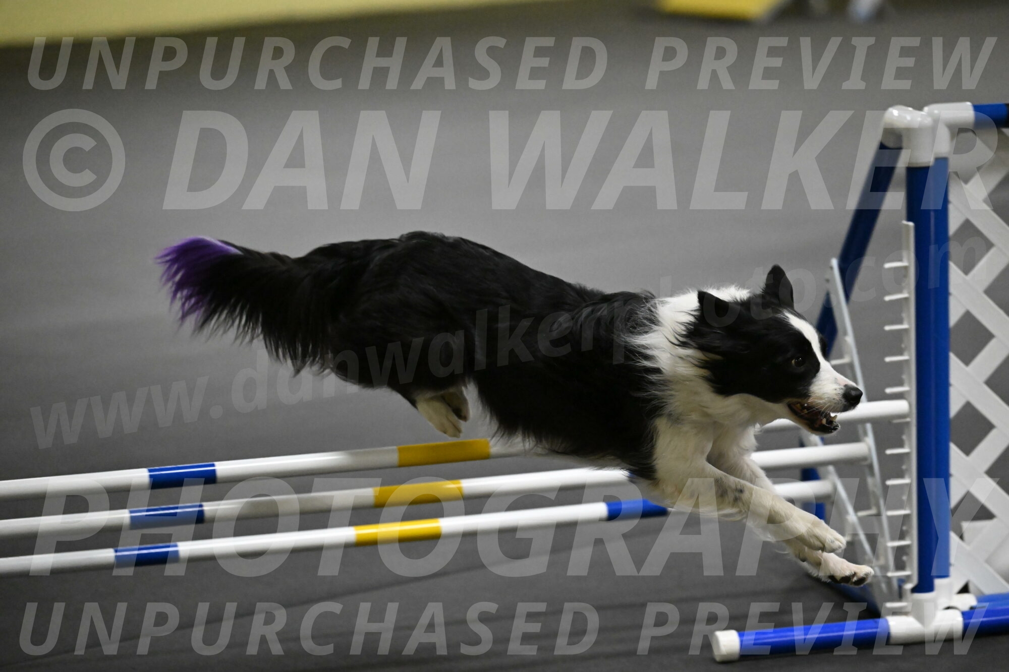 Annie-Solinger-02793