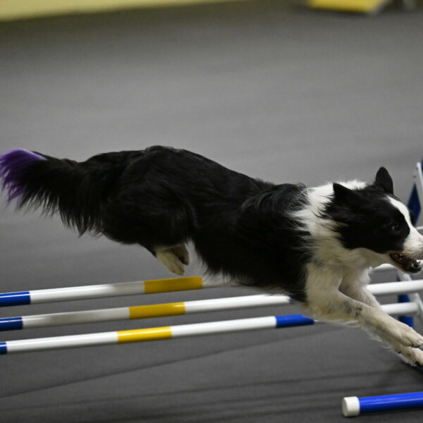 Annie-Solinger-02793