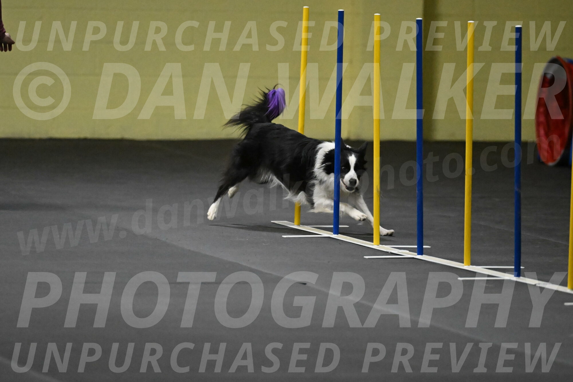 Annie-Solinger-02799