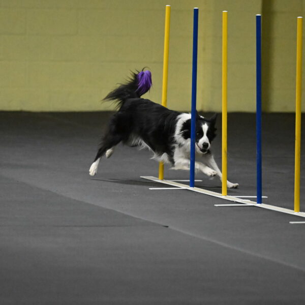 Annie-Solinger-02799