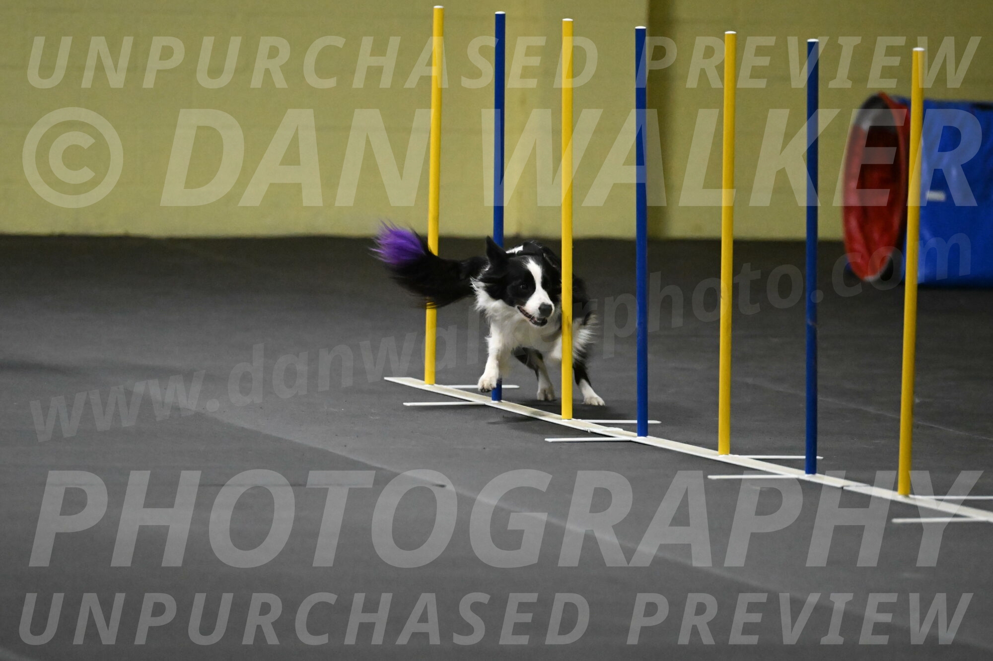 Annie-Solinger-02802