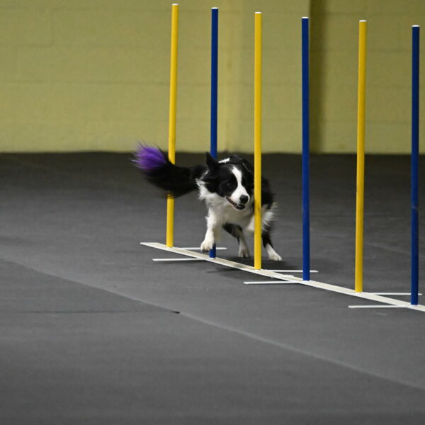 Annie-Solinger-02802