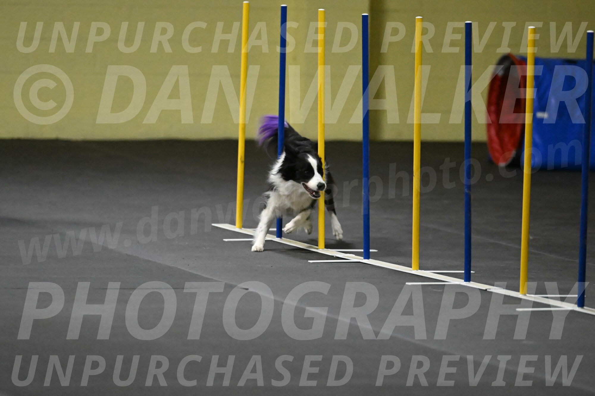 Annie-Solinger-02803