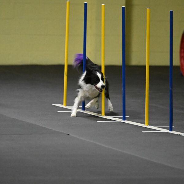 Annie-Solinger-02803