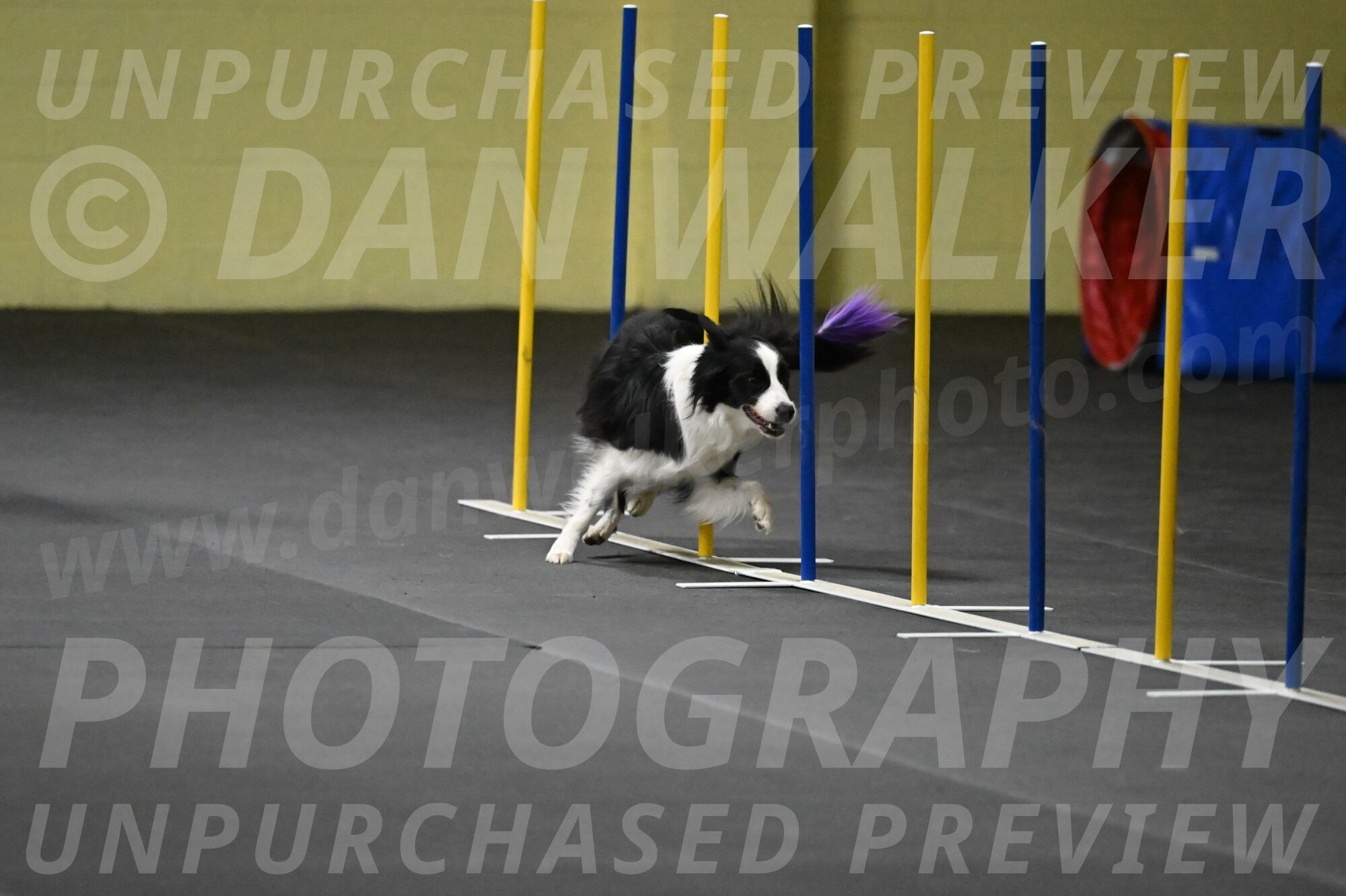 Annie-Solinger-02804