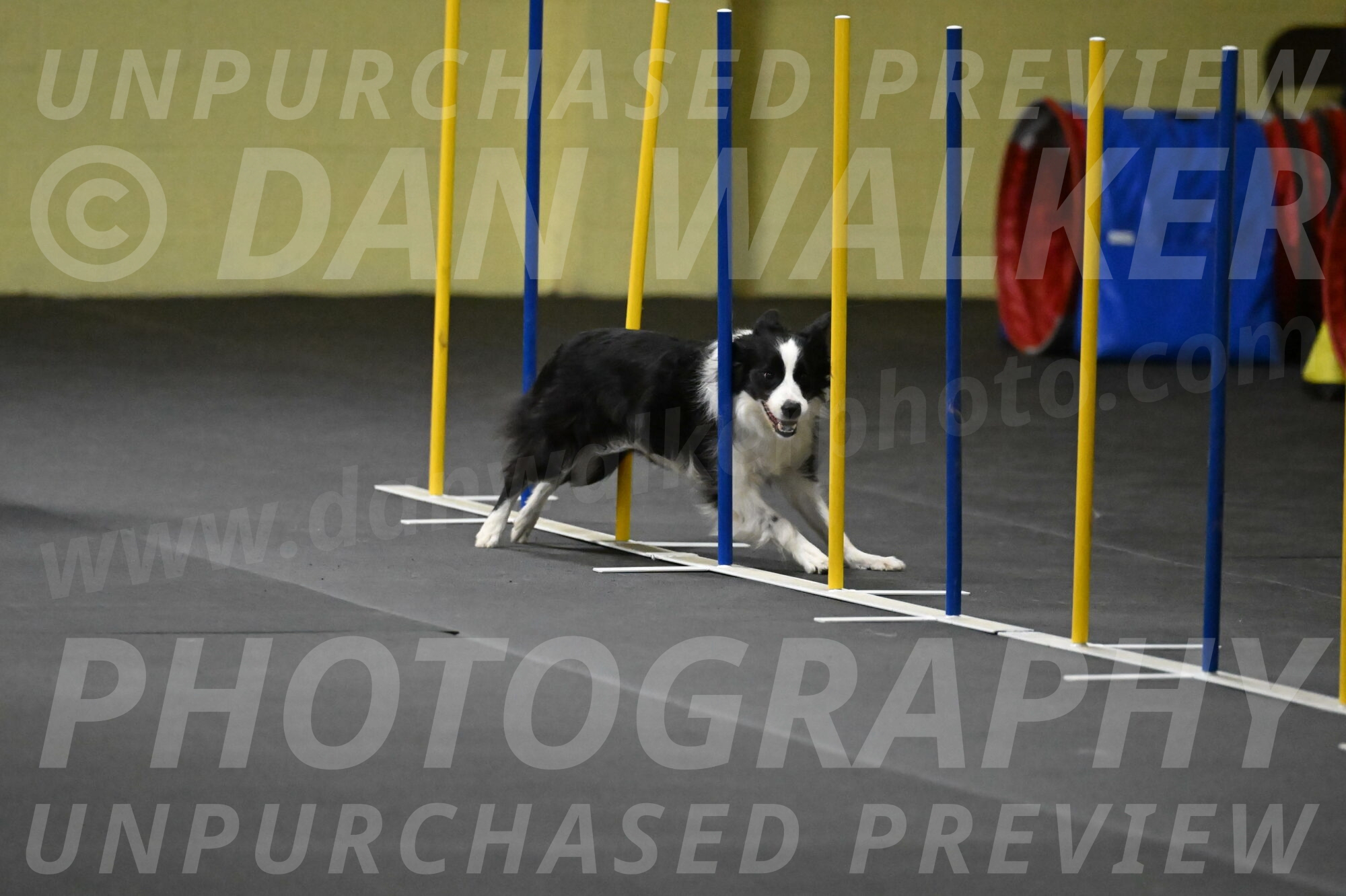 Annie-Solinger-02806