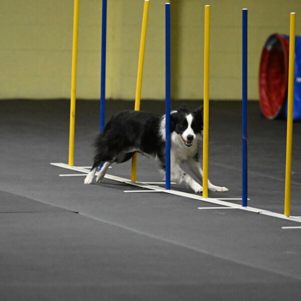 Annie-Solinger-02806