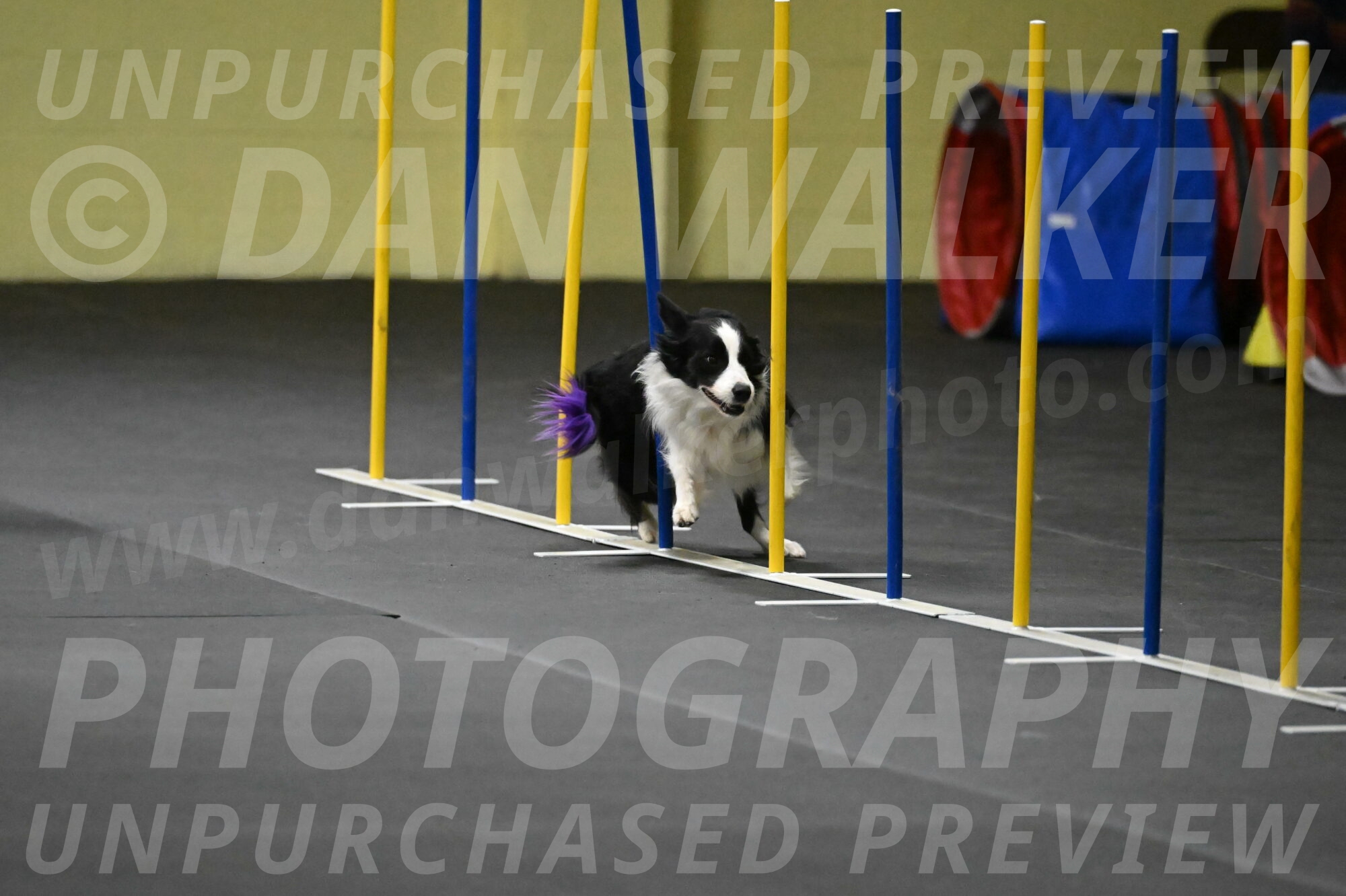 Annie-Solinger-02808