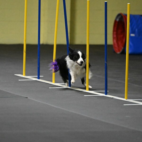 Annie-Solinger-02808