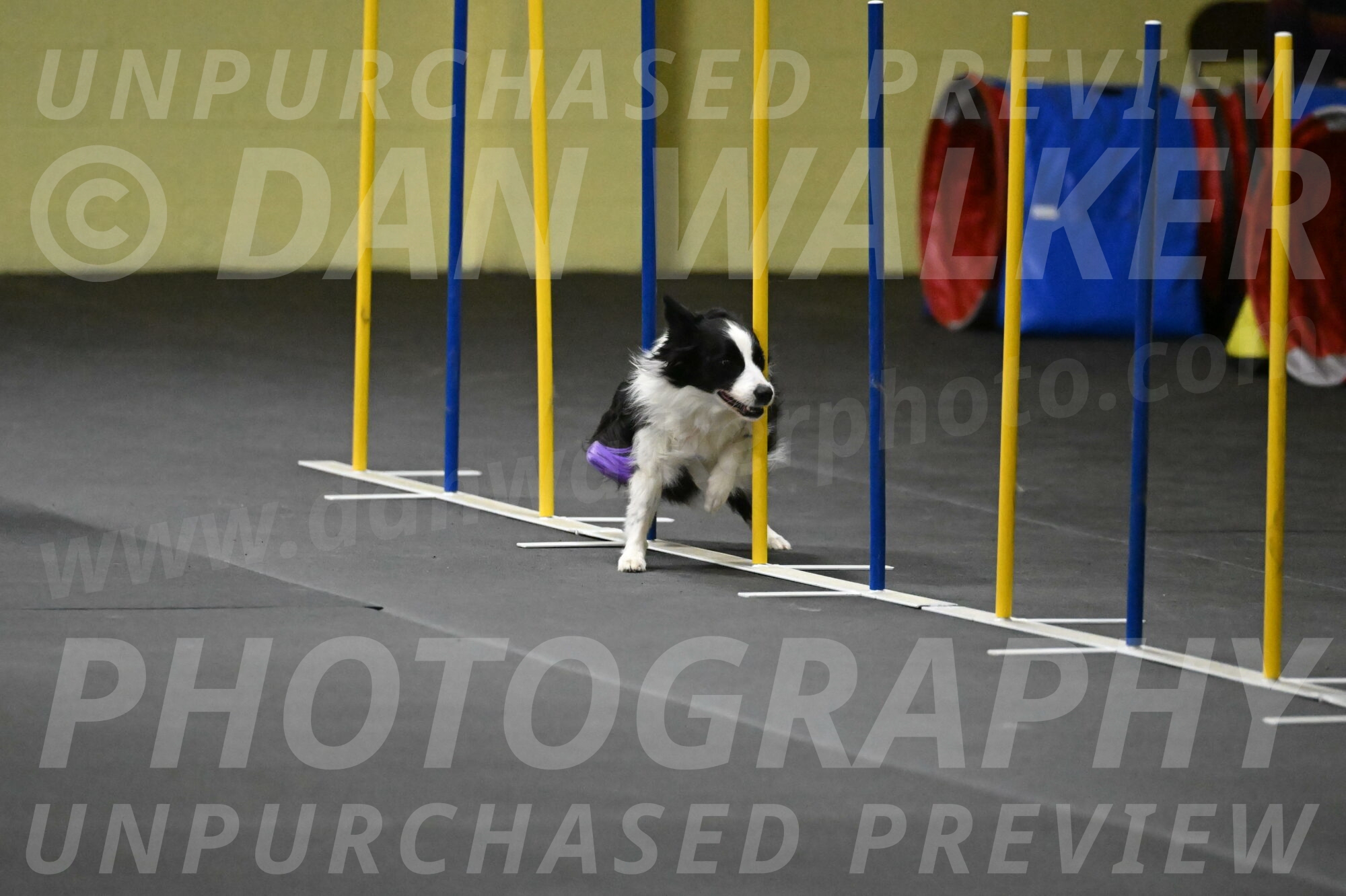 Annie-Solinger-02809