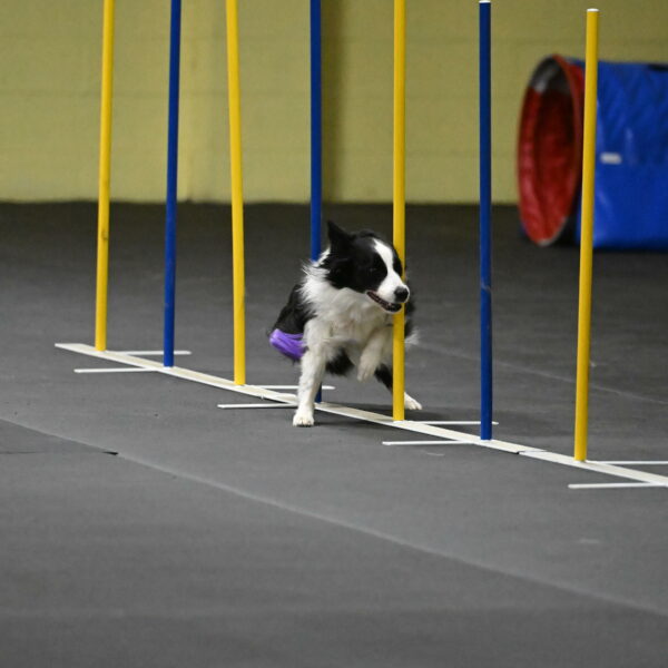 Annie-Solinger-02809