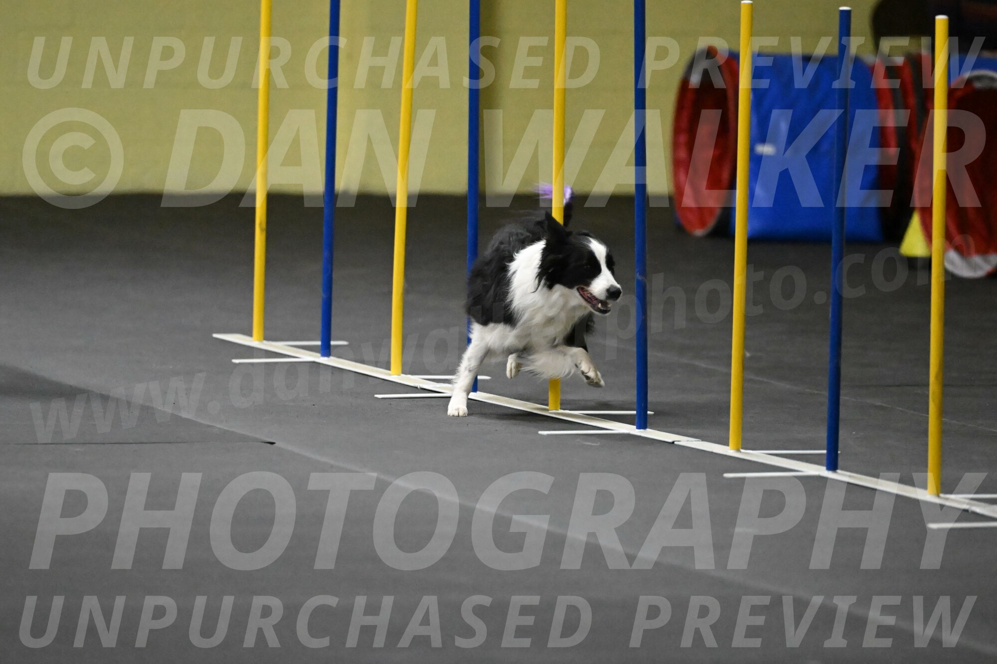 Annie-Solinger-02810