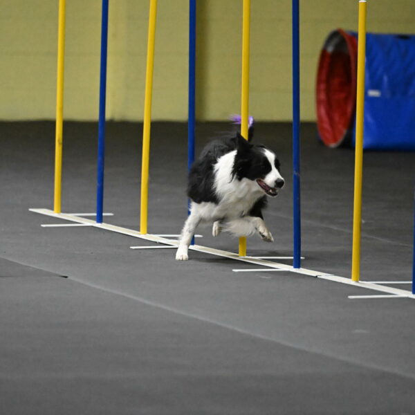 Annie-Solinger-02810