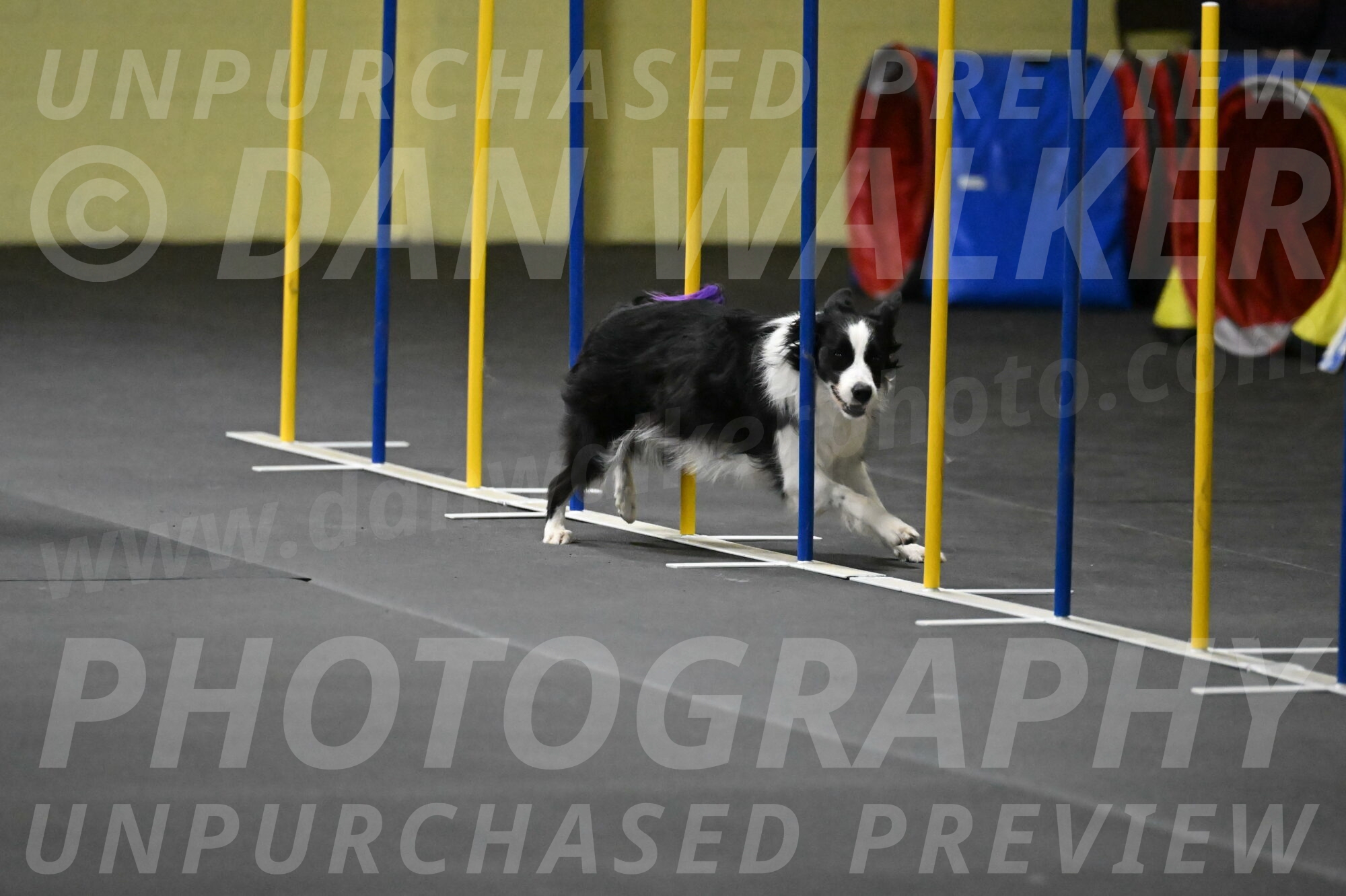 Annie-Solinger-02812