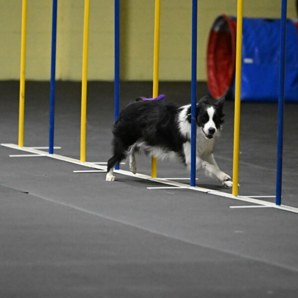 Annie-Solinger-02812