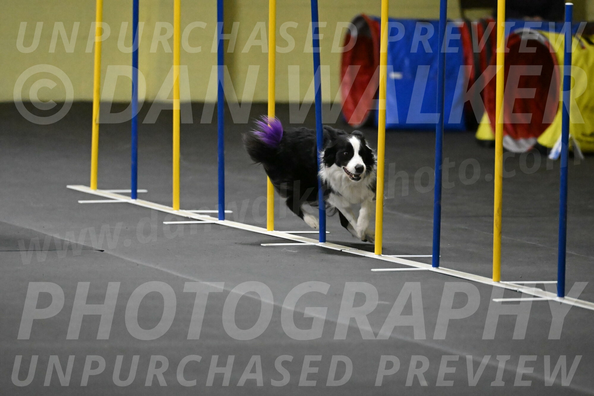 Annie-Solinger-02814