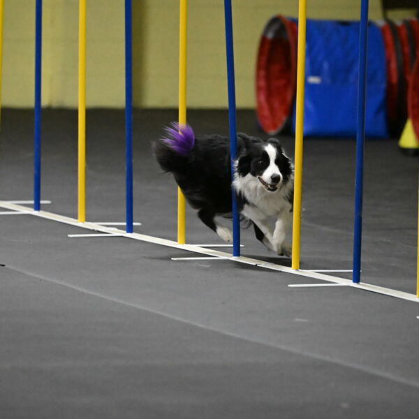 Annie-Solinger-02814