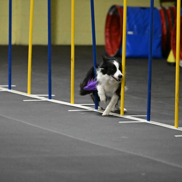 Annie-Solinger-02815